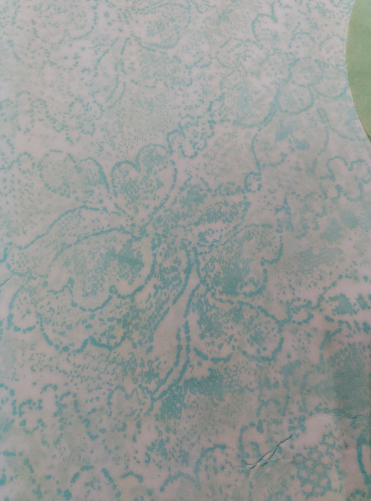 Tricia's Pretty Paper Packs in a soft green color we call Herby. 10 different papers all pretty and don't forget my designer papers are in these packs.