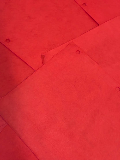 Red - 10 - pieces hand dyed lined paper