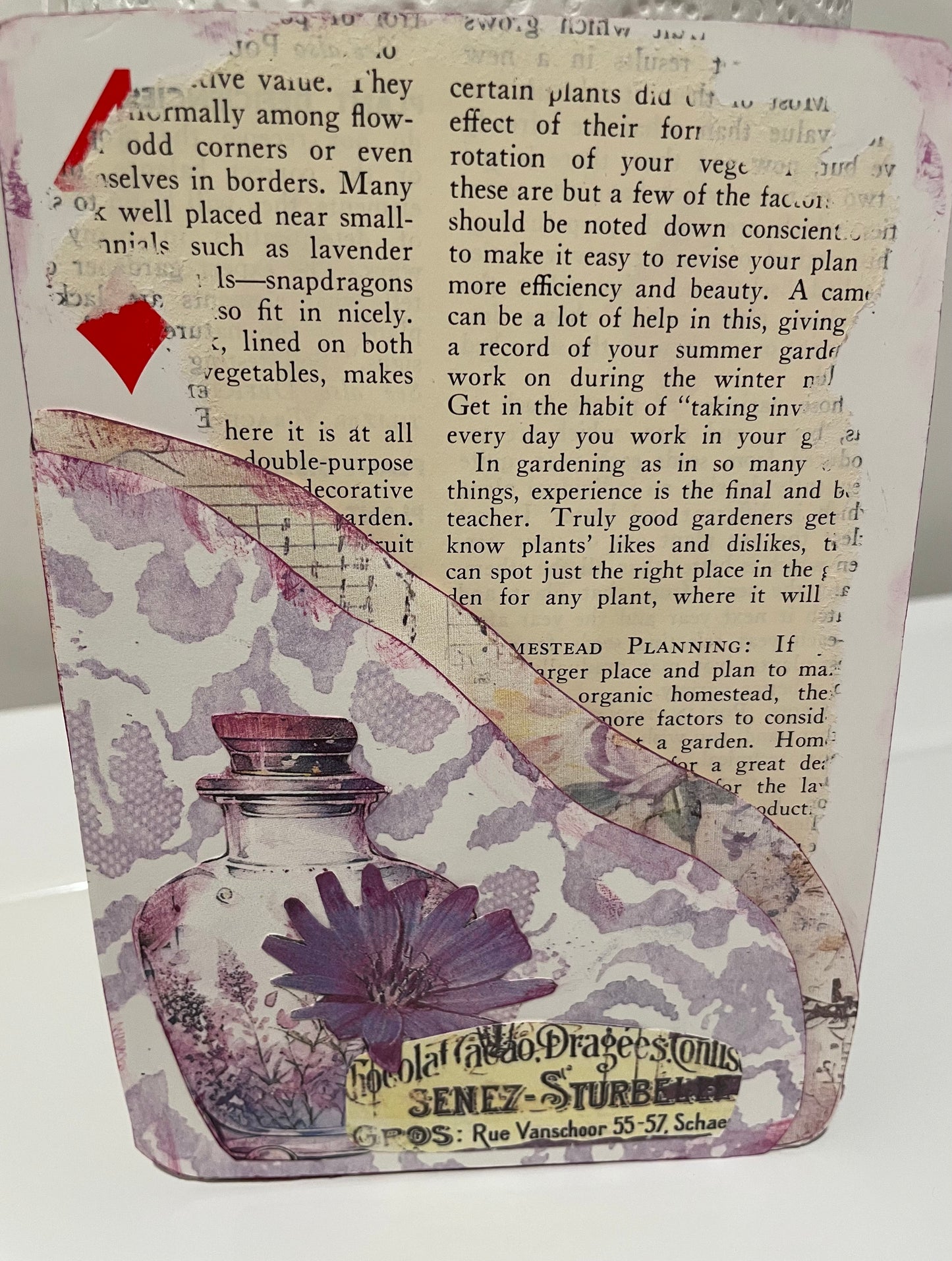 "Message in a violet bottle" kit