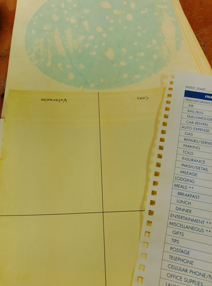 Tricia's Pretty Paper Packs called Daffodil.  10 different styles of papers and sometimes a coffee filter always my signature papers.